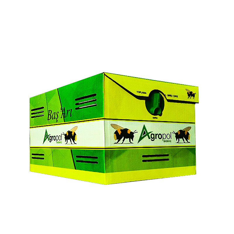 BaşArı Bombus Arısı